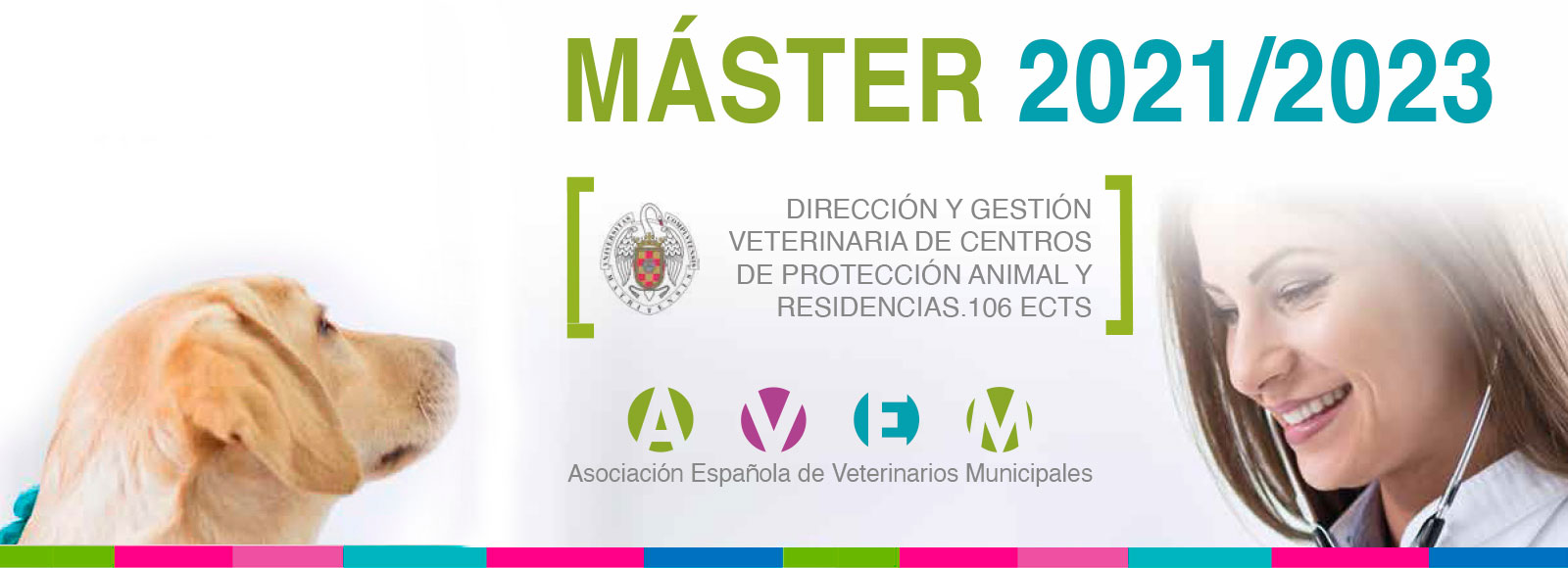 Gestión veterinaria en centros de protección animal y residencia de animales de compañía